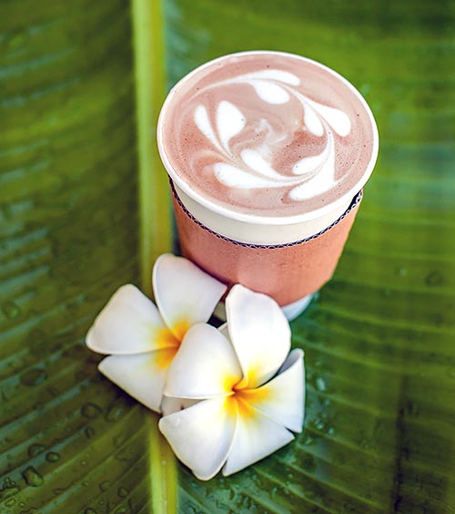 Maui Coffee Kihei